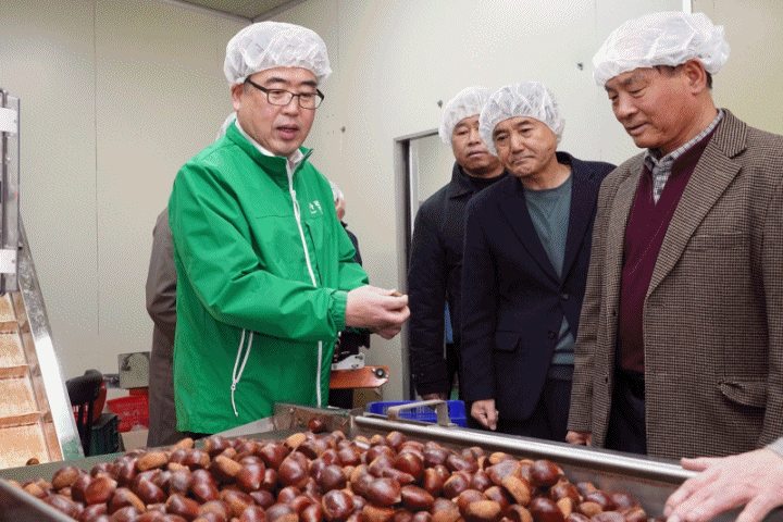 신공주밤생산영농조합 이미지
