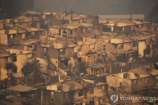 토하주 이미지