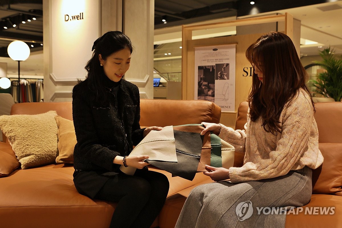 드웰 이미지