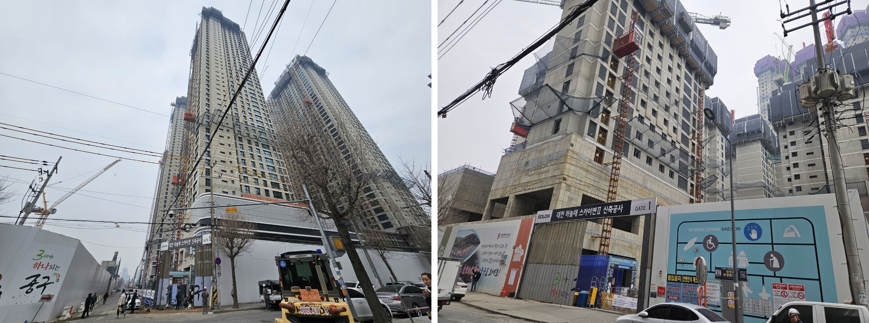 선화 이미지