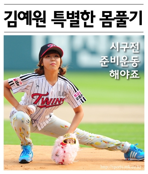예원장식 이미지