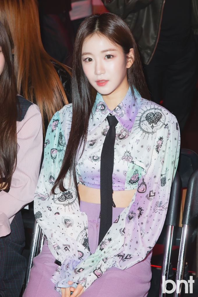 수컬렉션 이미지