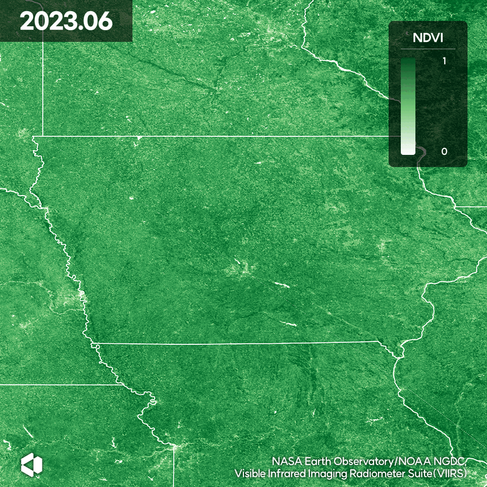 미국항공우주국과 미국해양대기청이 운영하는 NPP 수오미 위성과 NOAA-20 위성에실려 있는 가시적외선영상복사계제품군(VIIRS) 센서가 촬영한 아이오와 식생 모니터링. /NASA NOAA