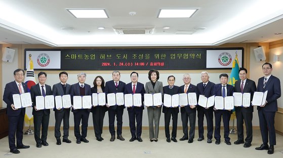 법인둥구나무 이미지