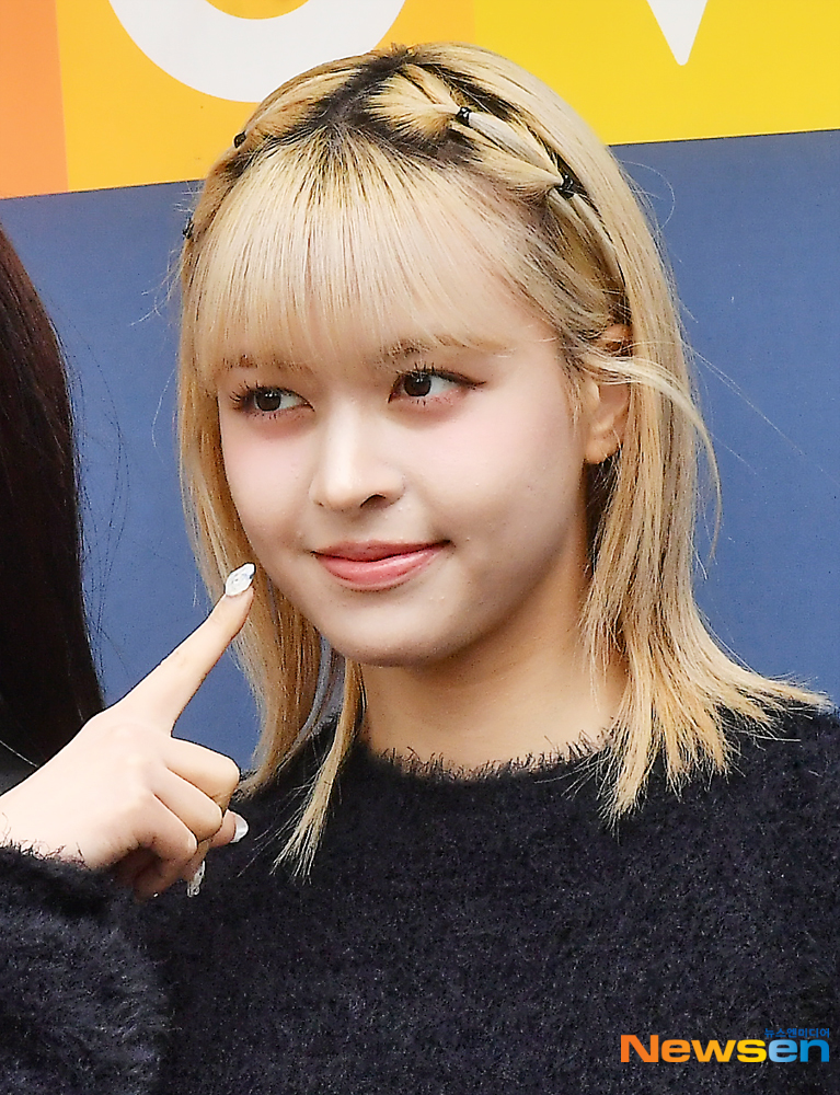 릴리 이미지