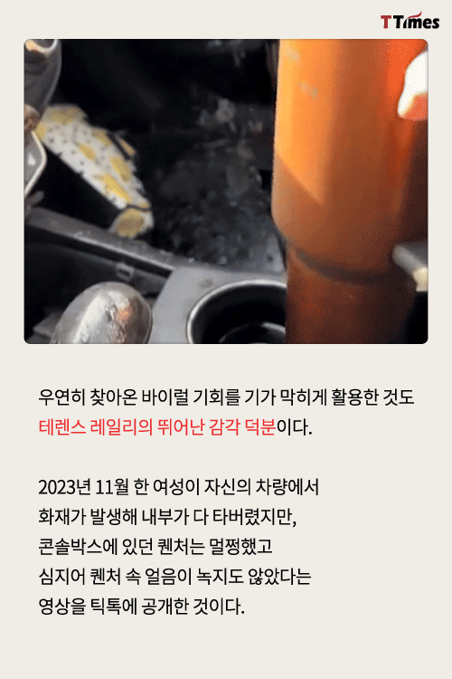 tiktok user 'danimarielettering'