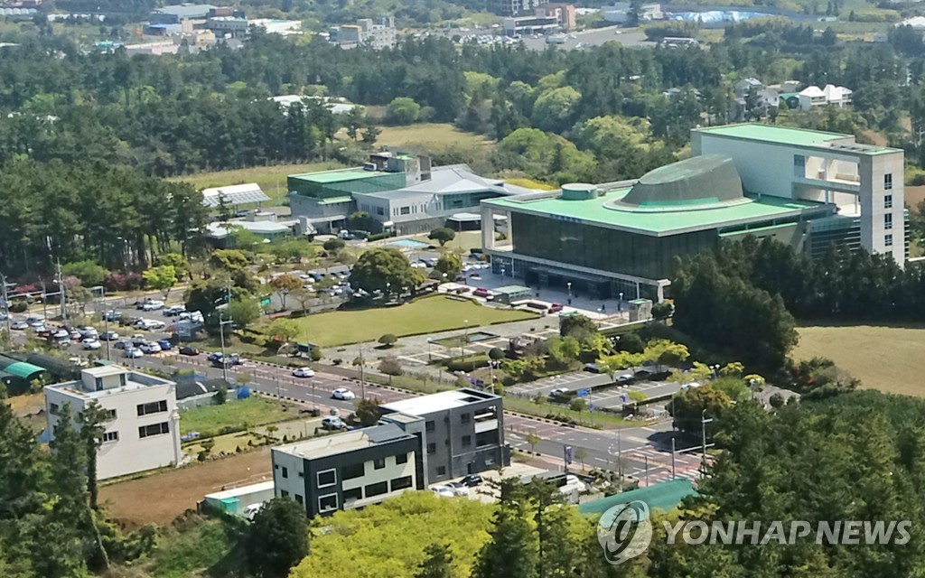 그린헤어아트 이미지