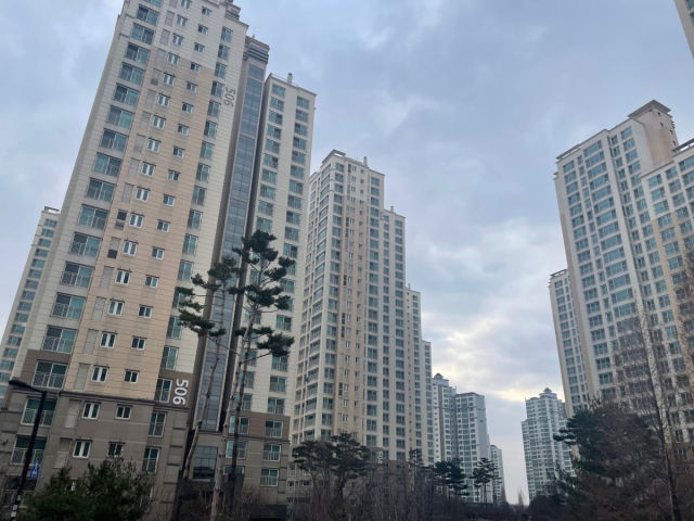 일산 이미지