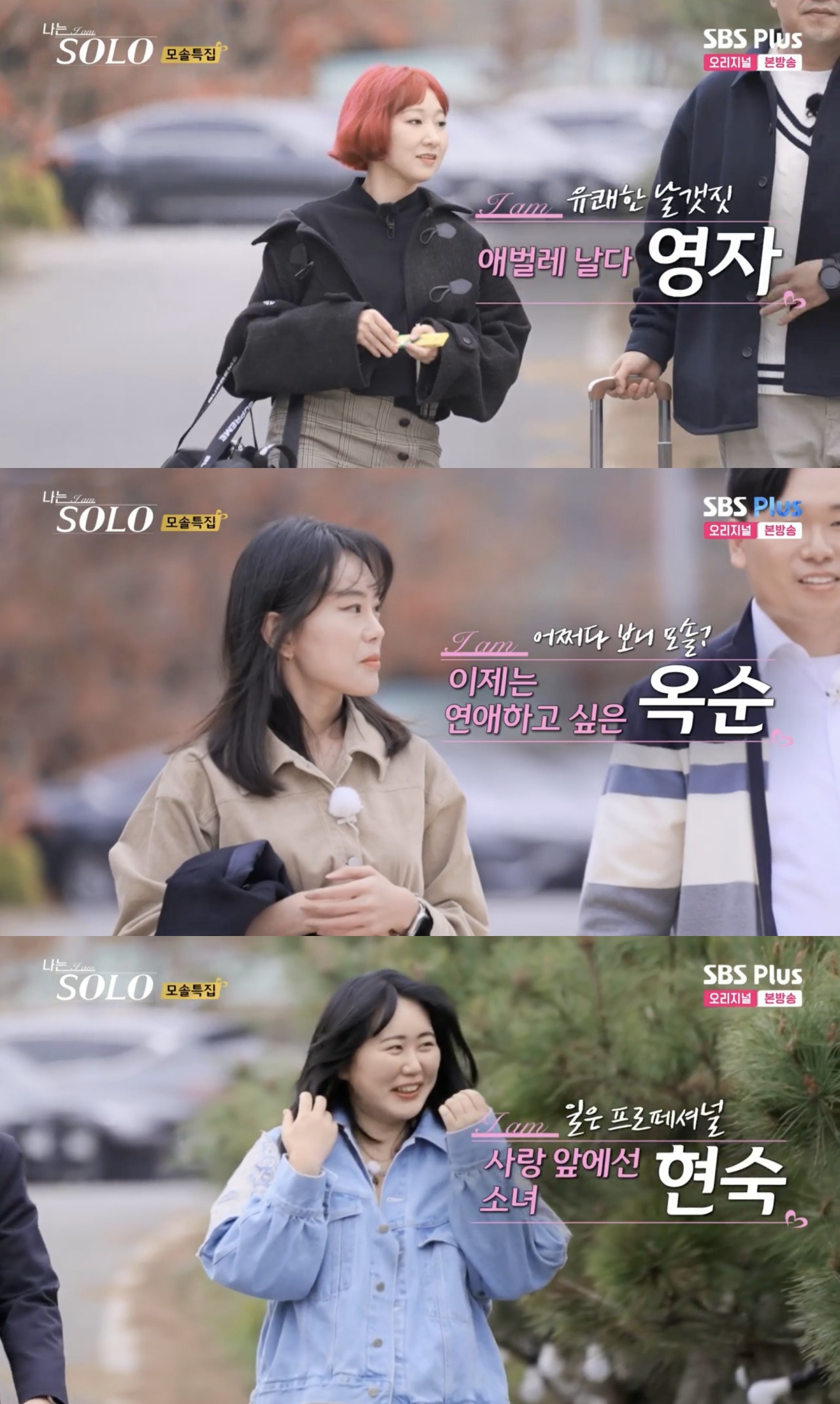 영자머리 이미지