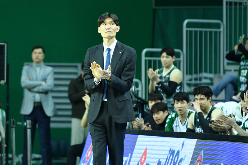 위디 이미지