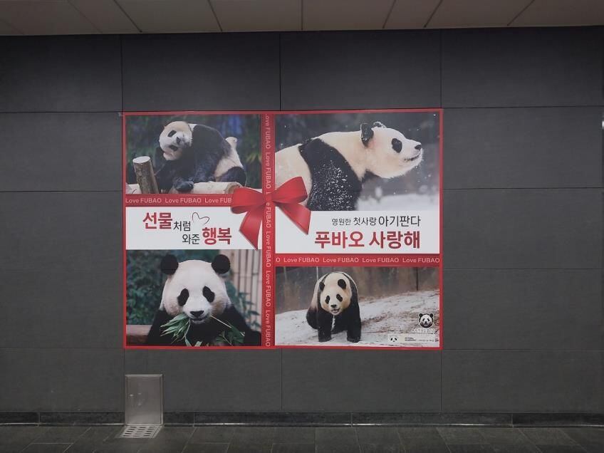 디씨문구 이미지