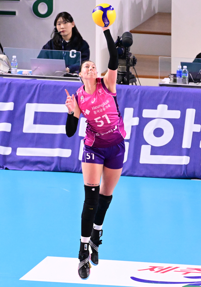 윌로우 이미지