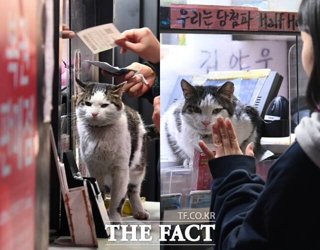 복덩이복권 이미지