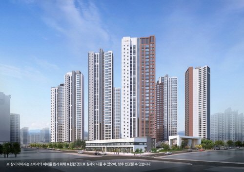 제니스 이미지