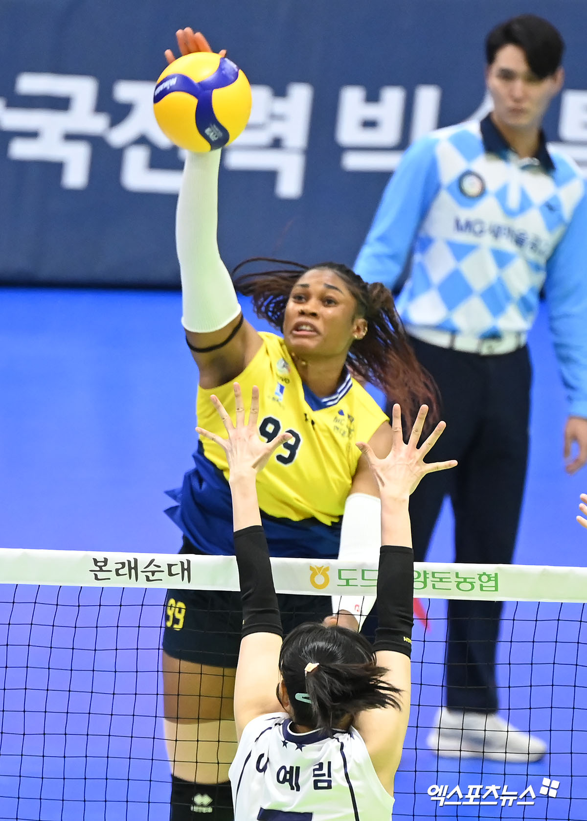 모마 이미지