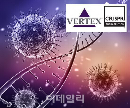 글로진 이미지