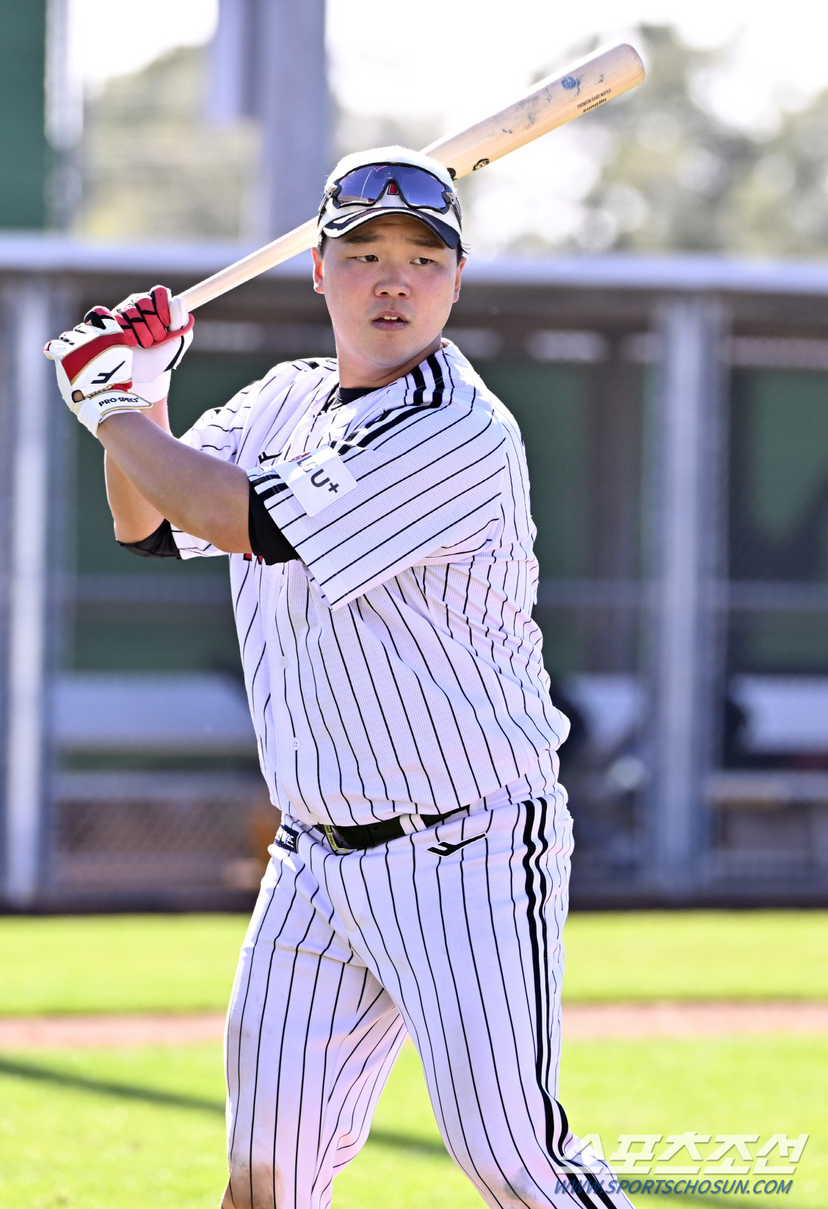 김성진 이미지
