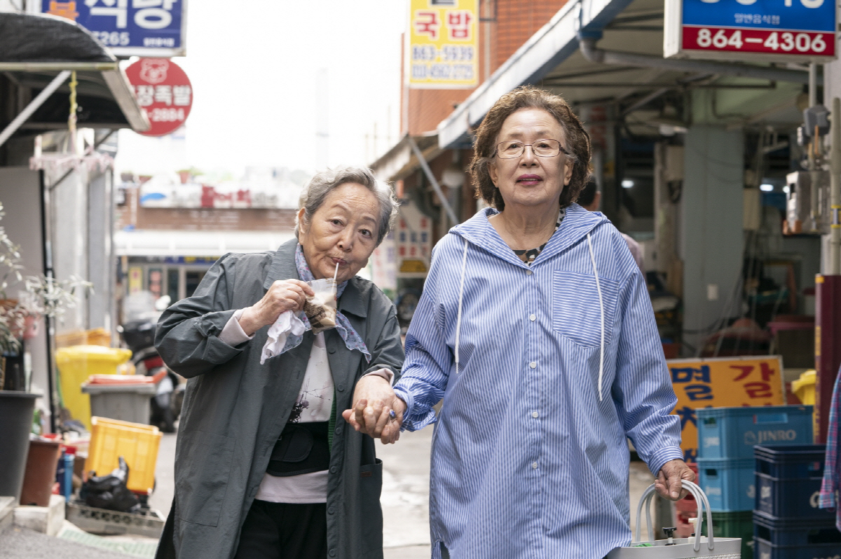 눈소풍 이미지