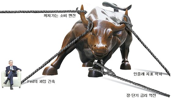 황소야 이미지