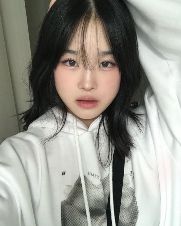 트리즈 이미지