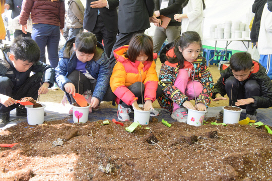 세종전의묘목협동조합 이미지