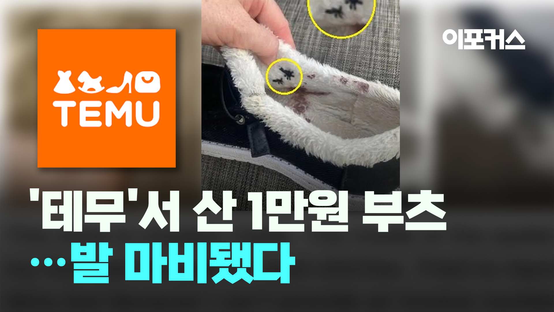 [자막뉴스] 테무(Temu)서 12달러 신발 샀다가 낭패 당한 사연 '시끌' | 이포커스