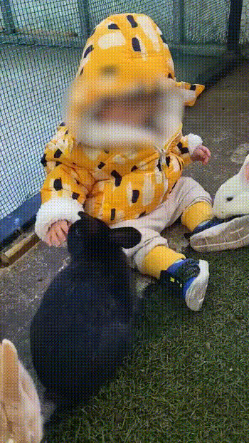 (온라인 커뮤니티 갈무리)