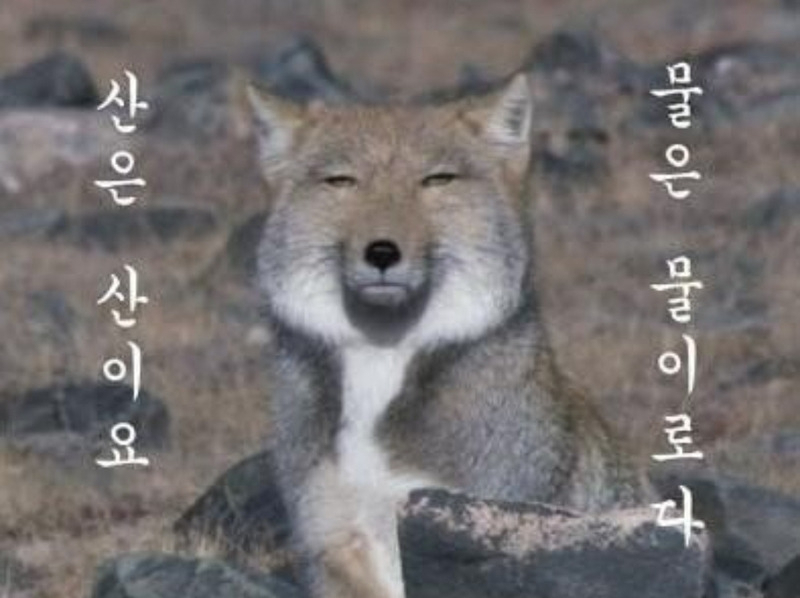 무무랑 이미지