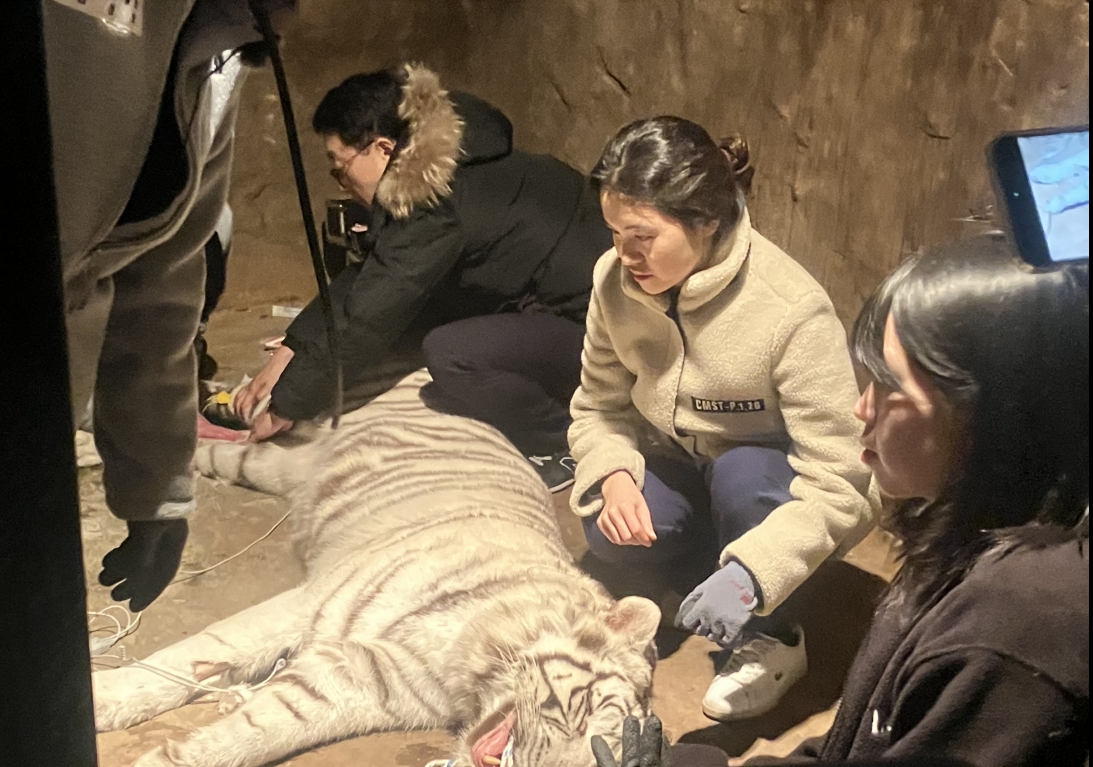 부경 이미지