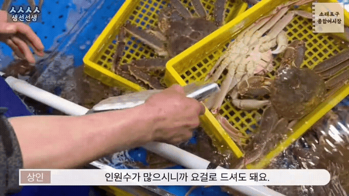 유튜브 채널 '생선선생 미스터S' 갈무리