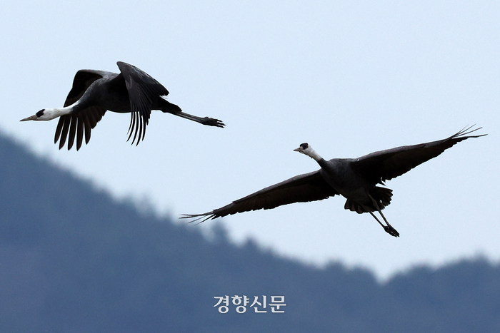 두루미사진관 이미지