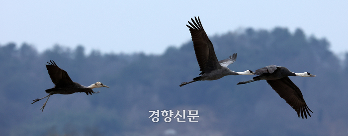두루미사진관 이미지