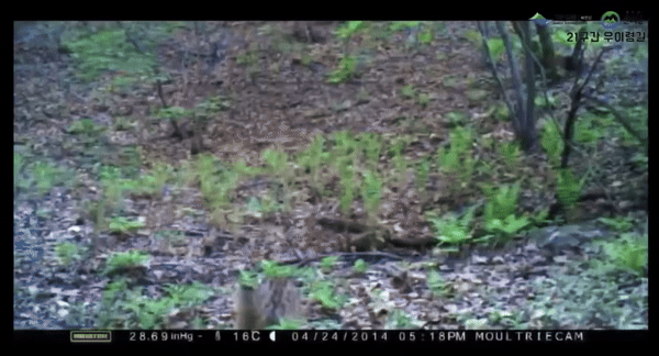 [북한산국립공원 유튜브]