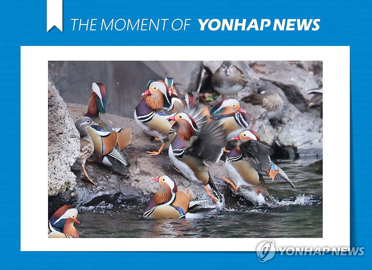 모멘트 이미지