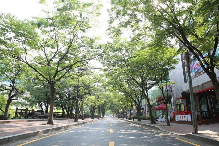 예술 이미지