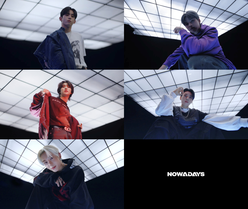 이즈 이미지