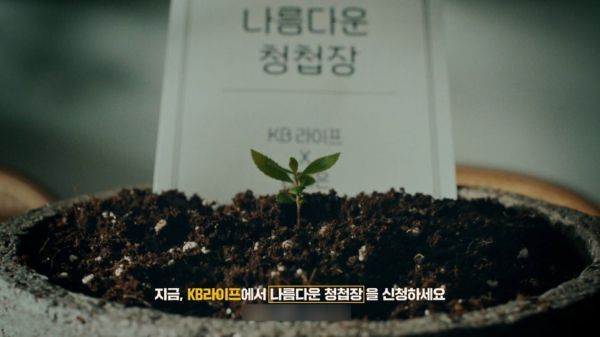 KB종합광고 이미지