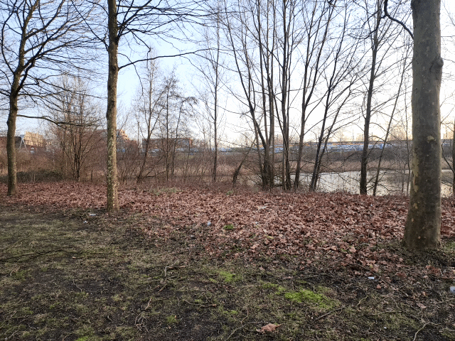 네덜란드 암스테르담시가 '에로틱 센터'를 지을 최종 후보지로 택한 암스테르담 남부 유로파대로의 한 공터. 암스테르담 대표 비즈니스 구역이기는 하지만, 기업들과 떨어진 곳에 위치해 있어 인적이 드물었다. 암스테르담=신은별 특파원