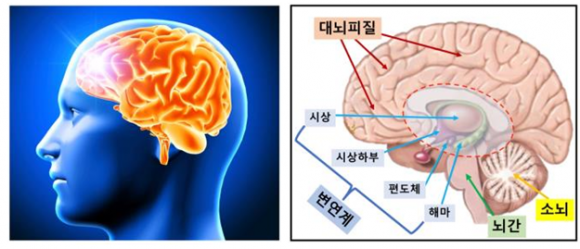 한국과학기술연구원 이미지