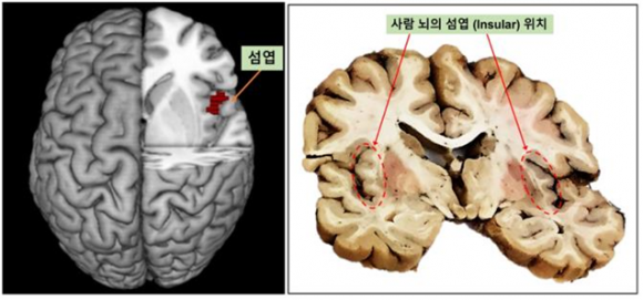한국과학기술연구원 이미지