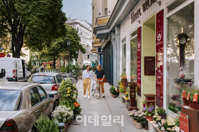 비엔나 이미지