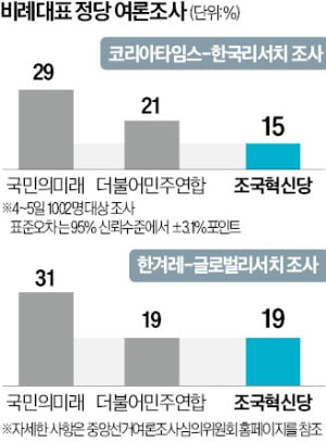 비조 이미지