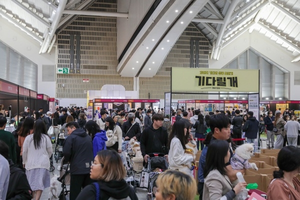 마이팀페어스 이미지