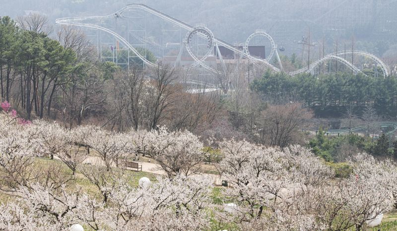 하늘그루 이미지