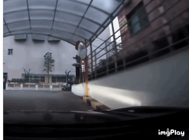 출처 = 온라인 커뮤니티 '보배드림'