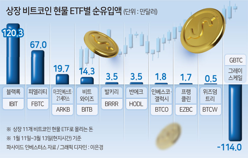 와이즈오리진 이미지