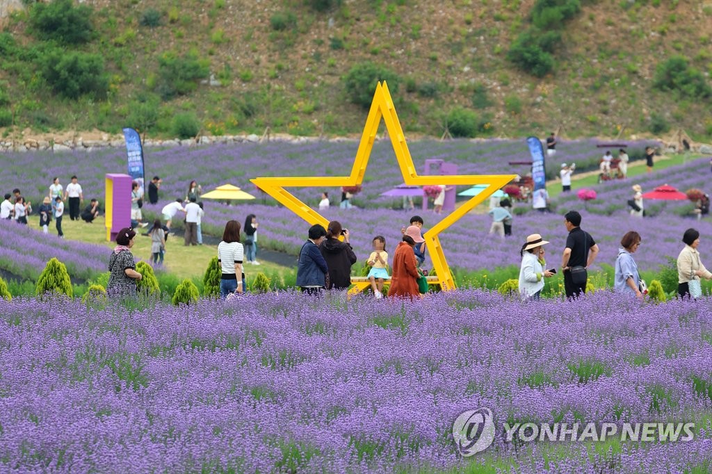 동해여행사 이미지