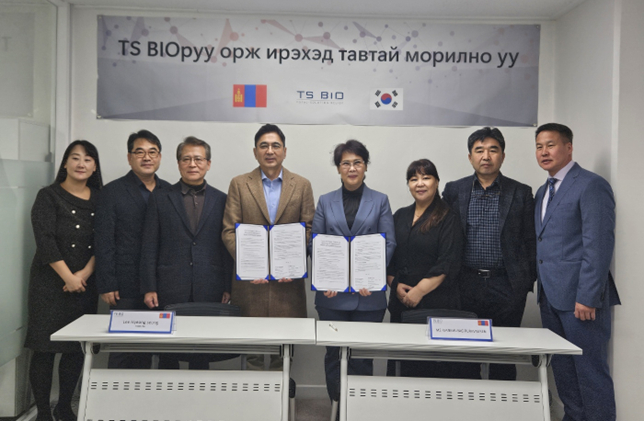 세포상회 이미지