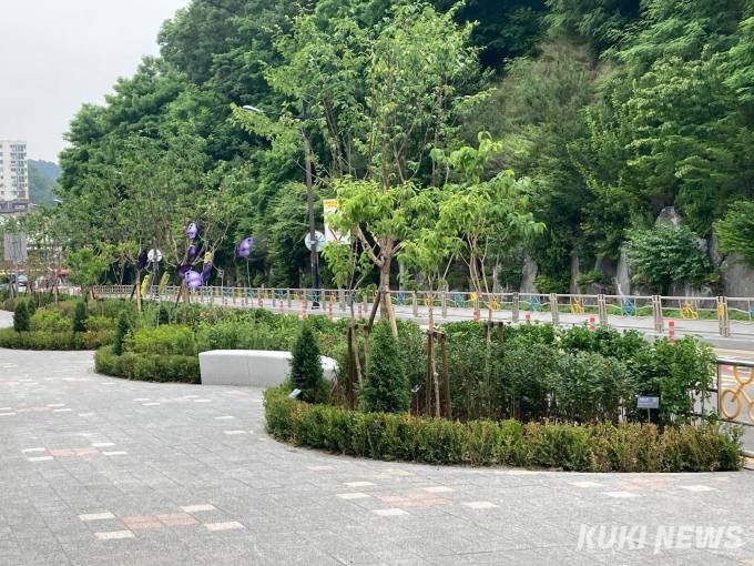 숲 이미지