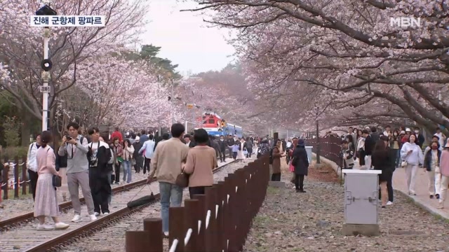 진해 군항제 오늘 개막…450만 명 찾을 듯